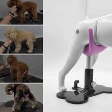Load image into Gallery viewer, Dog Assisted Training Stand 5-speed Adjustable Pet Beauty Fixed Equipment Palm Lifting Portable 360 ° Free Rotating Pet Supplies
