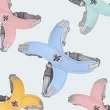 Load image into Gallery viewer, Dog Harness and Leash Set Adjustable No-Pull Pet Harness for Small/Medium Dogs, Comfortable &amp; Secure for Walking
