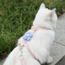 Load image into Gallery viewer, Cat Harness and Leash Sets Adjustable Dog Harness for Small Dog Leash Breashable Pet Harness Out Walking Dog Strap
