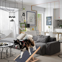 Load image into Gallery viewer, Pet Dog Ramp Ladder Natural Pine Wooden Lightweight Folding Anti-skid Adjustable 2 Height Climbing Ladder
