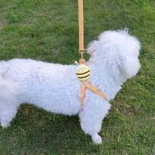 Load image into Gallery viewer, Dog Accessories Bag For Dogs Leash Supplies Strap Harness Pets Pet Sling Small Home. Collar Breed Articles Goods Chest Products

