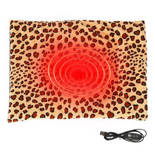 Load image into Gallery viewer, Pet heating pad outdoor indoor electric USB heating pad washable three Mode temperature adjustable heating blanket for cats dogs
