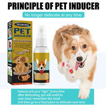 Load image into Gallery viewer, Dog Potty Training Spray Cats Kitten Outdoor Urine Poops Stool Location Helps Puppies Toilet Pet Positioning Defecation Inducer
