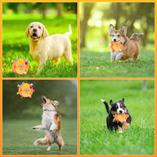 Load image into Gallery viewer, Dog Interactive Sound-Making Ball Toys With Labels, Soft-Filled Puppy Toys, Built-In Bells, Dog Chewing Toys
