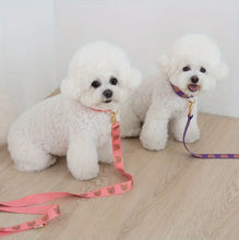 Load image into Gallery viewer, Pet collar, V-neck, cat, dog leash, dog walking decoration, cute, soft, durable
