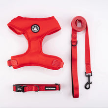 Load image into Gallery viewer, Harness for Cats Collar, Harness, Leash Accessories Pets Goods Kitten Pet Products Things Breast-band Supplies Kittens
