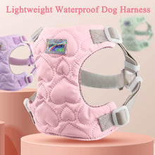 Load image into Gallery viewer, Dog Harness for Small Medium Dogs Cute Heart Pattern Adjustable Nylon Lined Puppy Vest Harness French Bulldog Pet Accessories
