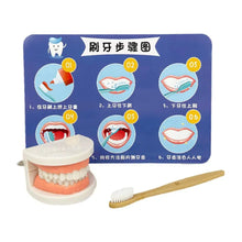 Load image into Gallery viewer, Dentist Toys for Preschool Educational Children Role Play Toys Teeth  Brushing Toys Cute Early Education Cartoon Tooth Brushin
