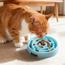 Load image into Gallery viewer, Pet Dog Slow Feeder Bowl Slower Food Feeding Dishes Fun Non Slip Anti-Gulping Eco Dog Bowl for Large Medium Small Dogs Puppy
