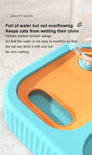 Load image into Gallery viewer, Cats and Dogs  Used Simple Use Pet Feeding Bowl, Durable and Safe Design Functions
