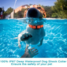 Load image into Gallery viewer, 800m Digital Dog Training Collar Waterproof Rechargeable Remote Control Pet with LCD Display for All Size Shock Vibration Sound
