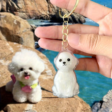 Load image into Gallery viewer, Dog/Cat Fur Memorial Charm Resin Keepsake Capsule for Cute Dog  Hair Portable Keychain Pendant for Hair Rainbow Bridge Pendant
