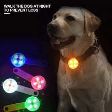 Load image into Gallery viewer, Dog collar, loss collar, weatherproof LED safety light, USB rechargeable LED light collar, dog, cat, pet
