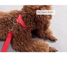 Load image into Gallery viewer, Dog Collar LED Light Electronic Night Safety Anti-Lost Nylon Adjustable Luminous Glowing Collar For Dogs Cats Pet Products Xs-XL
