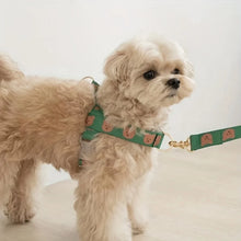 Load image into Gallery viewer, Pet collar, V-neck, cat, dog leash, dog walking decoration, cute, soft, durable

