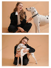 Load image into Gallery viewer, Dog Fashion Collar For Ladies Handmade Design Pet Colorful Neck Ring Small Medium and Large Dogs Lead-collar Wear Supplies
