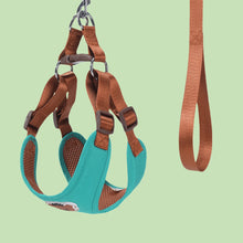 Load image into Gallery viewer, Dog Harness Leash for Medium Small Dogs - Comfortable Pet Chest Harness, Durable Walking Rope, Adjustable, Ideal for Daily Walks
