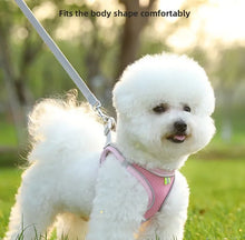 Load image into Gallery viewer, Harness for a Dog Harness Guard Harnesses for Dogs Pet Puppy Big the Small Breed Medium Anatomical Large Breeds Goods Product
