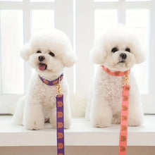 Load image into Gallery viewer, Pet collar, V-neck, cat, dog leash, dog walking decoration, cute, soft, durable
