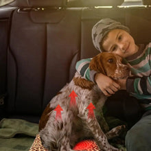 Load image into Gallery viewer, Pet heating pad outdoor indoor electric USB heating pad washable three Mode temperature adjustable heating blanket for cats dogs
