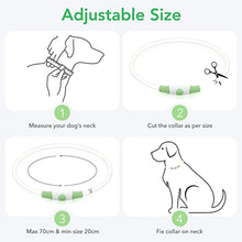 Load image into Gallery viewer, Luminous Dog Collar Light Charge Cat Necklace, Led Fashion Flashing DIY Glowing Safety Collar for Dogs Nighttime Pet Accessorie
