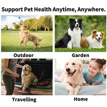 Load image into Gallery viewer, Pet Teeth Cleaning Wipes 50-Pieces Pet Dog Teeth Brushing Wipes For Cleaning Bad Breath Remover Wipes For Outdoors Traveling
