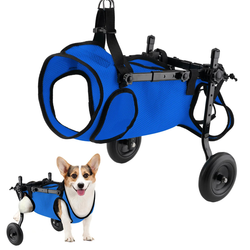 Dog injury rehabilitation car, small dog, elderly dog, assisted commuting car, disabled car, dog walking assistance car