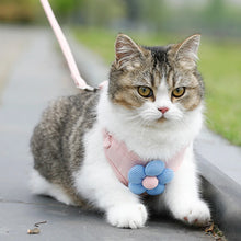 Load image into Gallery viewer, Cat Harness and Leash Sets Adjustable Dog Harness for Small Dog Leash Breashable Pet Harness Out Walking Dog Strap

