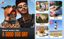 Load image into Gallery viewer, 800m Digital Dog Training Collar Waterproof Rechargeable Remote Control Pet with LCD Display for All Size Shock Vibration Sound
