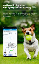 Load image into Gallery viewer, Pet Activity Monitor Measure Pet Step Historical Track Dog Cat Health Monitor Smart 4G GPS Tracker &amp; Locator
