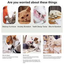 Load image into Gallery viewer, Pets slow feeder Silicone Grass Slow Food Mat Dogs Snuffle Pad Cats Licking Pad Non-slip Eating Mat pet Supplies Dog Accessories
