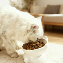 Load image into Gallery viewer, Cat Bowl Pet Accessories Ceramic Diagonal High Feet Cute Protection Cervical Spine Dog Bowl Drink Water Bowl Pet Supplies
