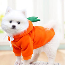 Load image into Gallery viewer, Cute Fruit Dog Clothes for Small Dogs Hoodies Warm Fleece Pet Clothing Puppy Cat Christmas Costume Coat Chihuahua Jacket Suits
