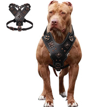 Load image into Gallery viewer, Genuine Leather Dog Harness Durable Large Dogs Harnesses Riveted Pet Training Vest With Metal Accessories For Medium Large Dogs
