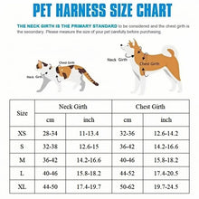 Load image into Gallery viewer, Pet Dog Harness Leash Set Small Medium Dog Cat Vest Breathable Puppy Chest Strap French Bulldog Chihuahua Harness Pet Supplies
