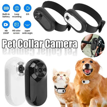 Load image into Gallery viewer, HD 1080P Pet Collar Camera - No WiFi Needed, Video/Photo for Dogs/Cats, 0.96&quot; LCD Rechargeable Pet Sport Camera
