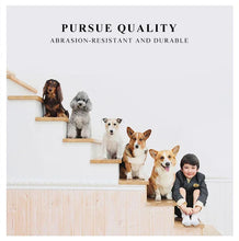 Load image into Gallery viewer, Portable Dog Cat Carrier Bag Pet Puppy Travel Bags Breathable Mesh Small Dog Cat Dogs Outdoor Tent Carrier Outgoing Pets Handbag
