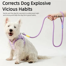 Load image into Gallery viewer, Dog leash, pet walking leash, outdoor dog dopamine contrasting leash, pet supplies
