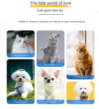 Load image into Gallery viewer, Home Pet Drying Box for Medium To Large Dogs Cat Water Blower Dryer Multifunctional Fully Automatic Silent Hair Dryer for Dogs
