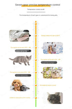 Load image into Gallery viewer, Home Pet Drying Box for Medium To Large Dogs Cat Water Blower Dryer Multifunctional Fully Automatic Silent Hair Dryer for Dogs
