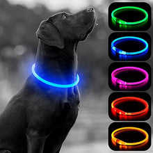 Load image into Gallery viewer, Luminous Dog Collar Light Charge Cat Necklace, Led Fashion Flashing DIY Glowing Safety Collar for Dogs Nighttime Pet Accessorie
