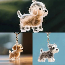 Load image into Gallery viewer, Dogs Hair Storage Pendant Cute Keychain Bag Pendant Couple Car Key Chains Jewelry Souvenir Collection Gift Decor Dog Accessories
