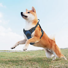 Load image into Gallery viewer, MASBRILL Dog Harness No Pull Nylon Adjustable Reflective Dog Vest Harness 2 Metal Leash Hooks Easy Control Handle Walking
