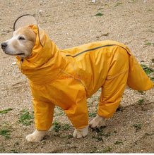 Load image into Gallery viewer, Pet dog, big dog, medium to large dog, golden haired Samoyed, Alaska, all inclusive raincoat, hooded bag, tail rain gear
