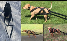 Load image into Gallery viewer, Dog pull training leash, dog sled safety belt for large working dogs, and dog sled safety belt for behavior training.
