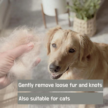 Load image into Gallery viewer, Professional Dog Brush Grooming Set for Dogs &amp; Cats Grooming Set 6 Pieces Cat massage Brush, Dematting Brush, Undercoat Brush
