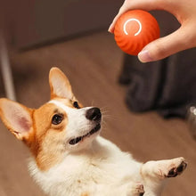 Load image into Gallery viewer, Dog Toy Ball Automatic Moving Bouncing Rolling Ball USB Smart puppy Interactive Dog Chew Toy Ball
