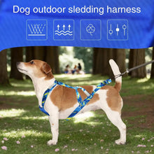 Load image into Gallery viewer, Pulling Harness For Dogs Puppy Harness Adjustable Reflective Dog Harness Outdoor Dog Rope Flexible Dog Training Rope For

