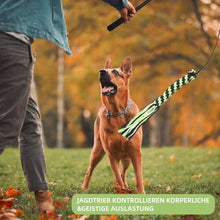 Load image into Gallery viewer, Extendable Flirt Pole Interactive Dog Toys for Small Large Dogs Chase Drag Chew Toys Outdoor Training Exercise Entertainment
