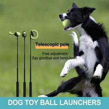 Load image into Gallery viewer, Dog Toys Throwing Pole Pet Throwing Stick Hand Throwing Ball Toys Pet Tennis Launcher Pole Outdoor Training Toys Pet Supplies
